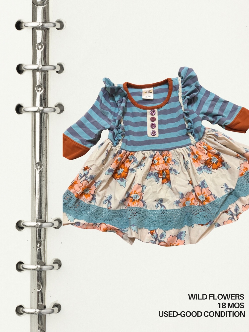 Wildflowers Blue Striped & Floral Ruffle Dress with Rust Accents
